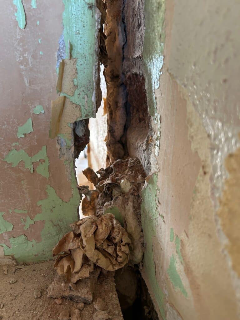 Decoratins removed to reveal the true width of a crack in a house wall